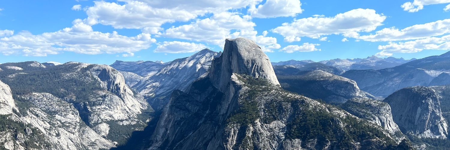 Steve Cardoso banner