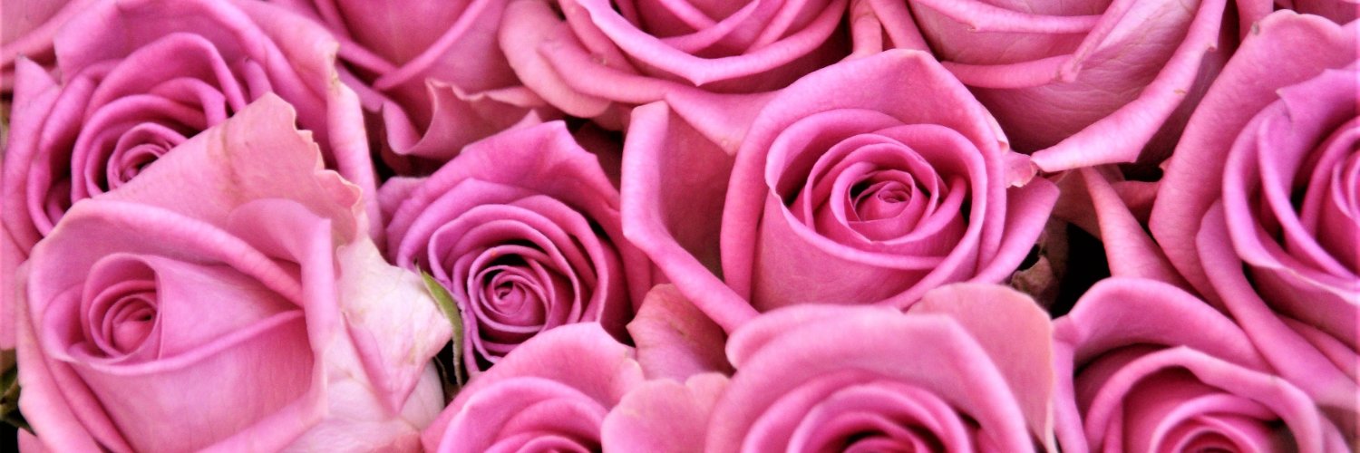 Hope Harrison |SPNNJ '24, SPNNJ '25 banner