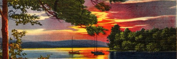 Meltiepoint Profile Banner