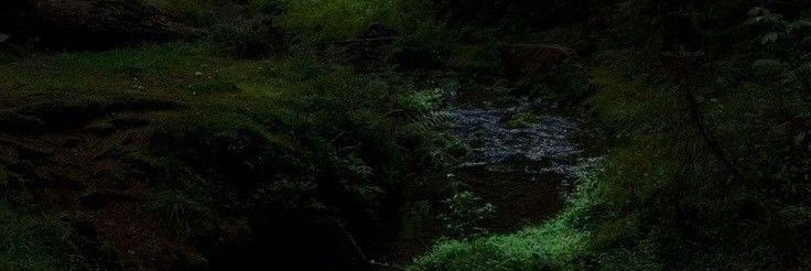 pitstoposcar's profile banner image
