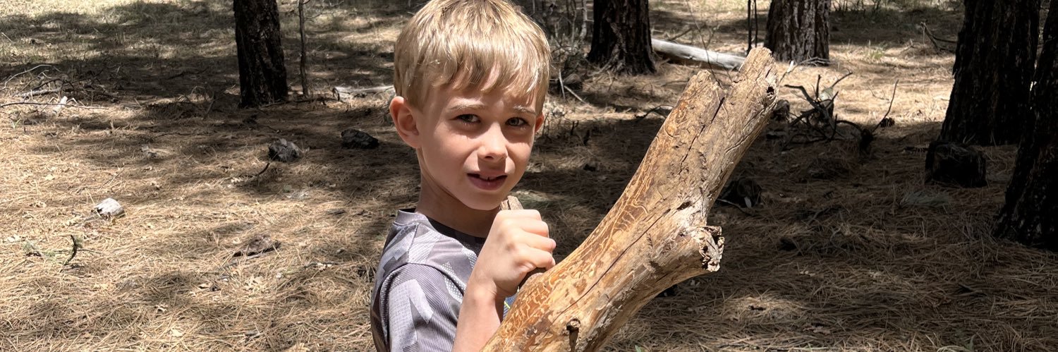 Abe Bagby 🌳🪓 banner