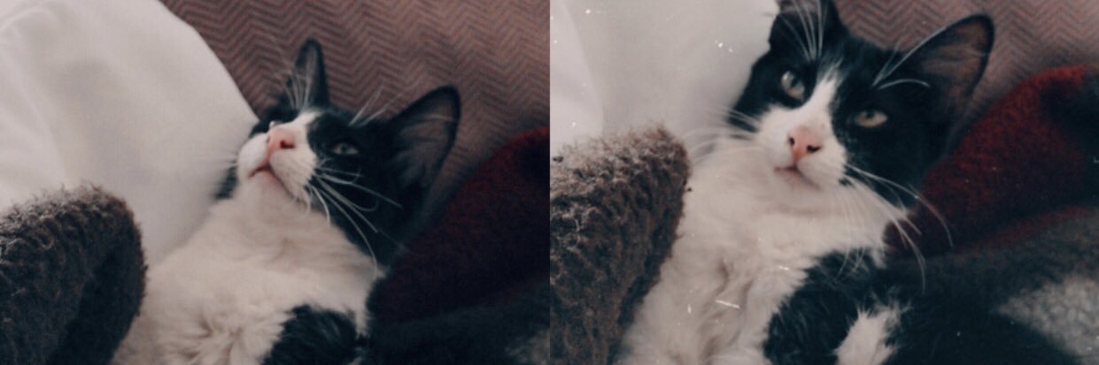Analauralugo's profile banner image