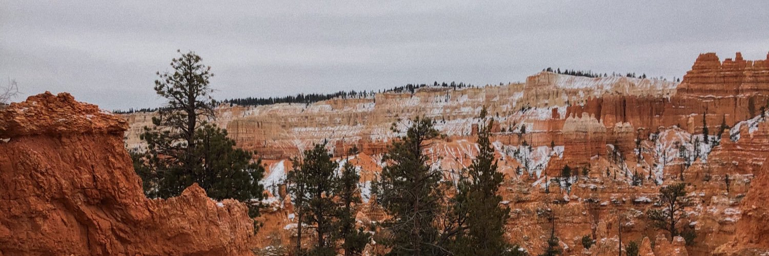 agwilloughby99's profile banner image