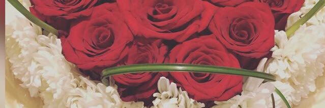 2mo0onah's profile banner image