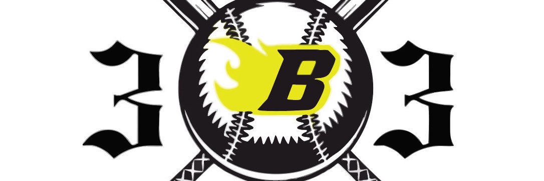 303 Burn Baseball banner