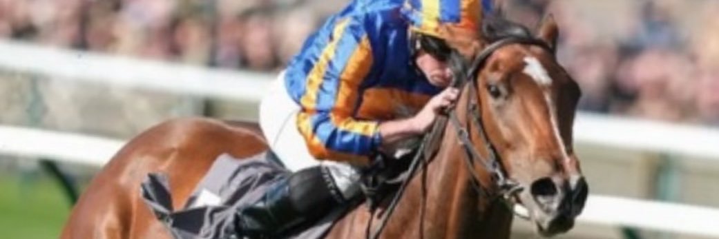 B2B2B🔜 🇬🇧 banner