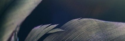 alablj2's profile banner image