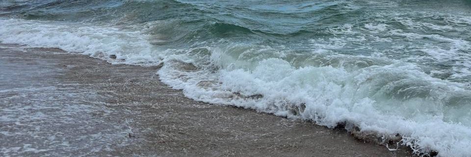 Chloemos1s's profile banner image