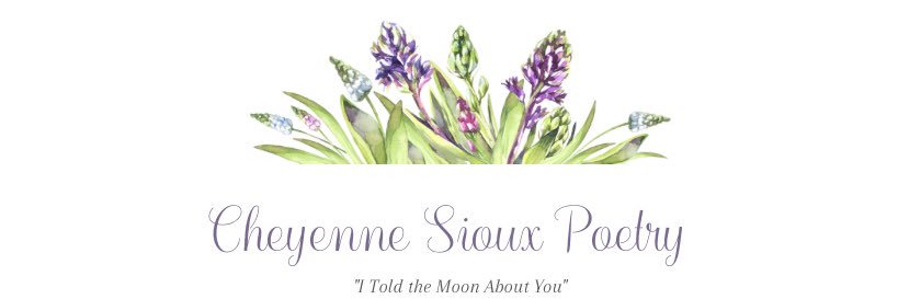 CheySiouxWriter's profile banner image