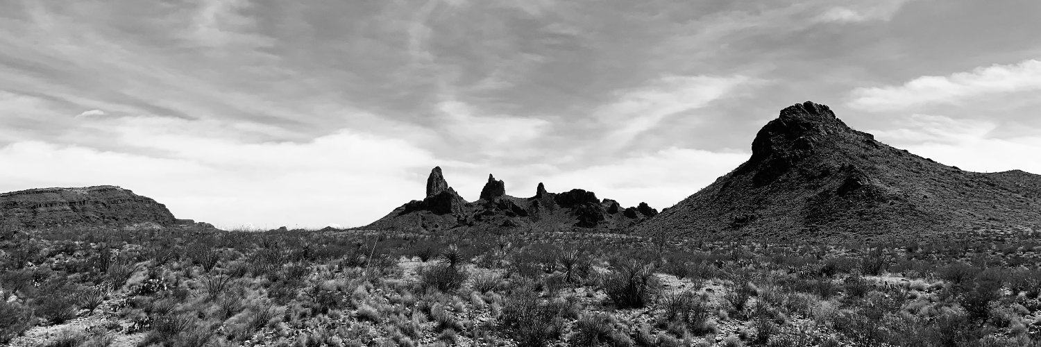 Melissa Lenhardt (RUN BABY RUN 6/13/23) 🟧 🌈 banner