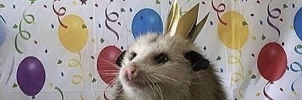 sofianat___'s profile banner image