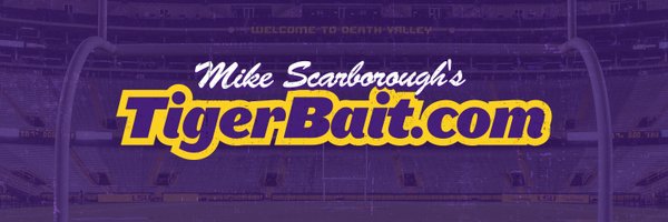 Mike Scarborough Profile Banner
