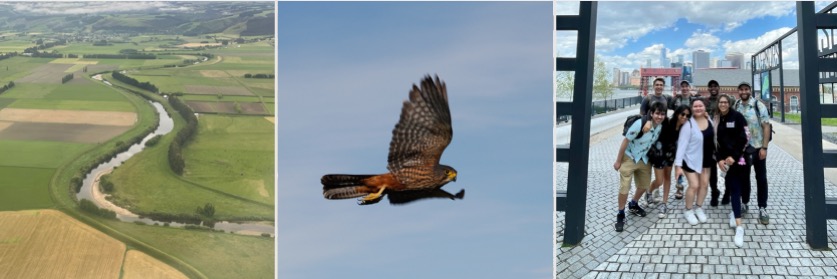 Dr Sara Kross banner