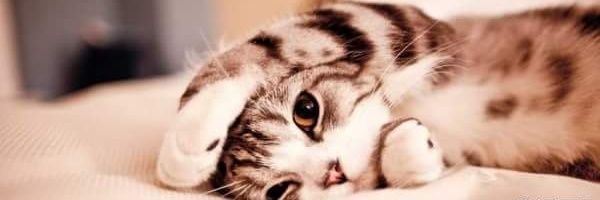 Jonathan_lo02's profile banner image