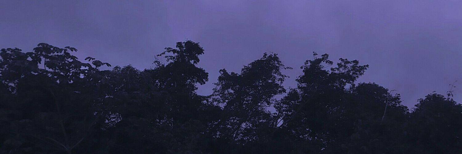 ieclipsadasa's profile banner image