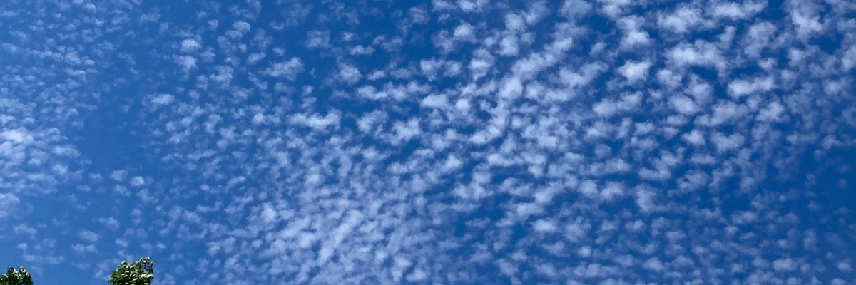 Zikimaruu's profile banner image