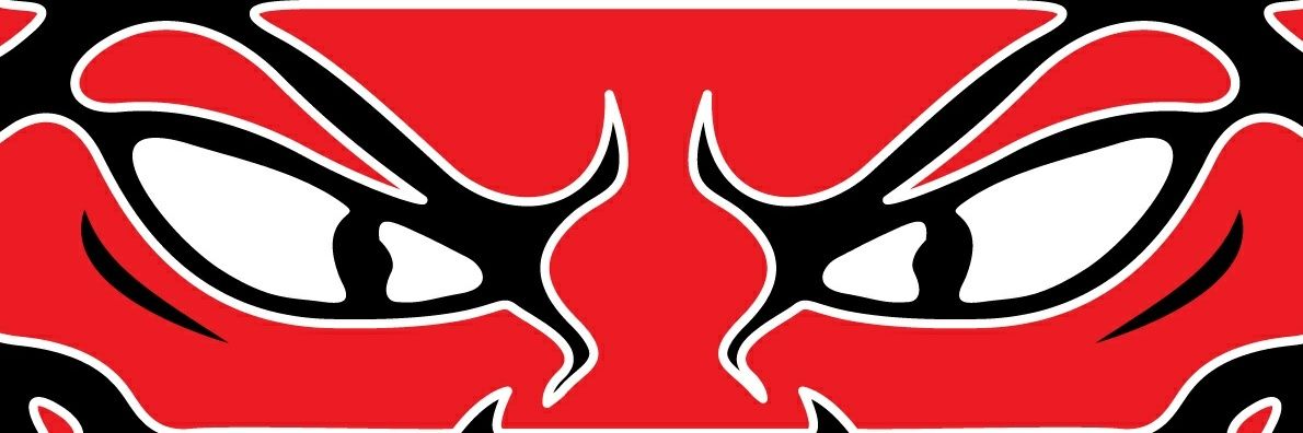 LHSRedDevilsFan's profile banner image
