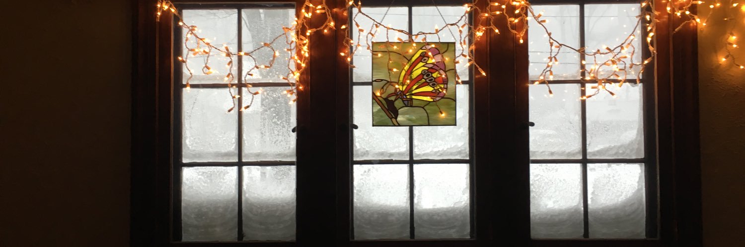 loonlibrarian's profile banner image