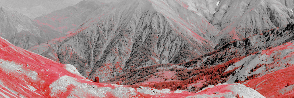 duhkarmy's profile banner image