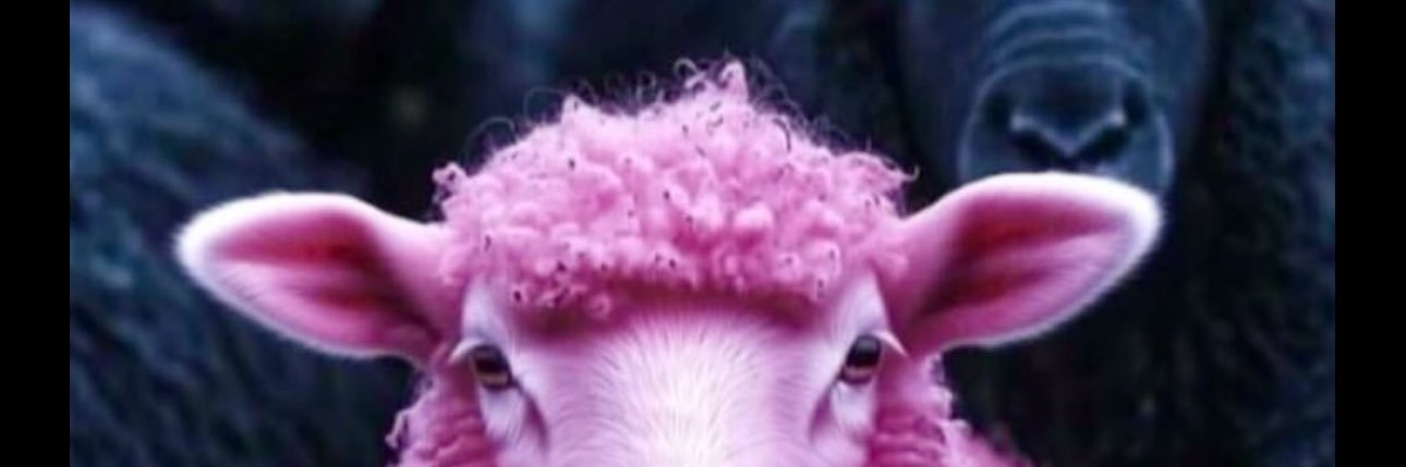 __essenceeee's profile banner image
