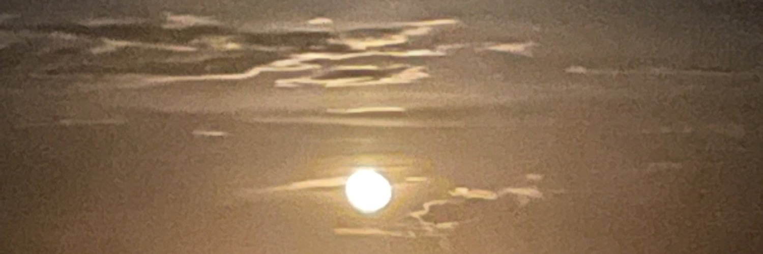 tal023's profile banner image