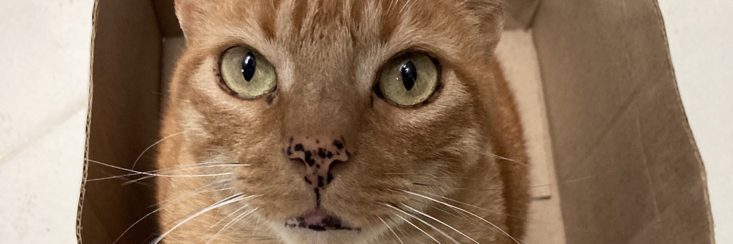manucastroc02's profile banner image