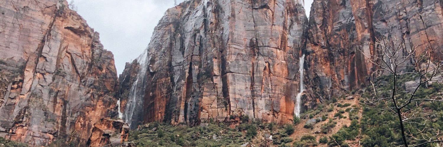 madisonfigler's profile banner image