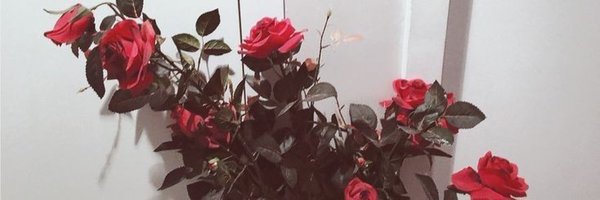 rl9bw Profile Banner
