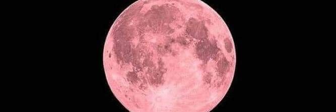 IaraAzuul's profile banner image