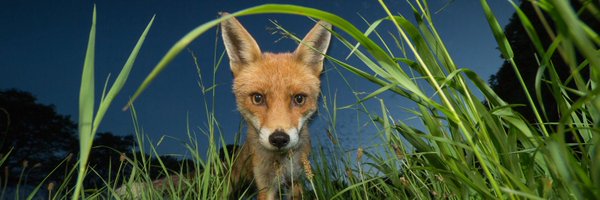 JoodiG Profile Banner