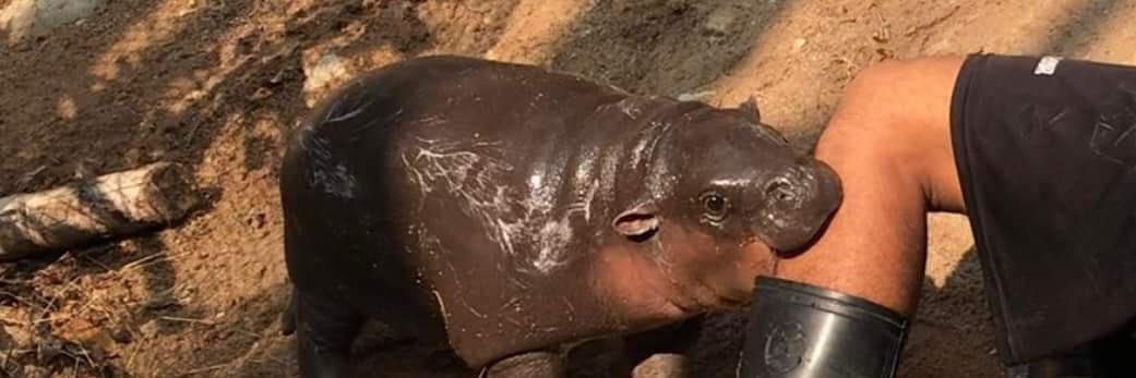 Sarah’s Circle banner