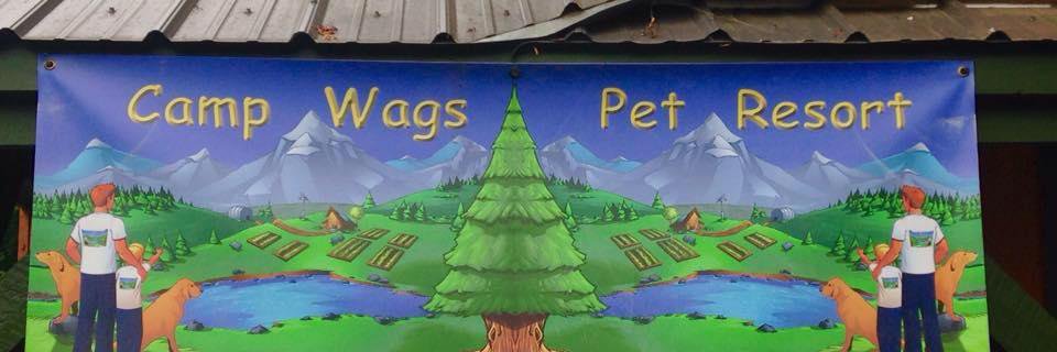 campwags's profile banner image