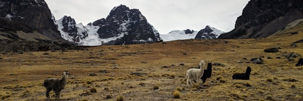 webcrawler24489 Profile Banner