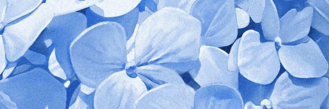 eggawegg's profile banner image