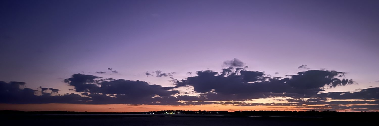Sydney banner