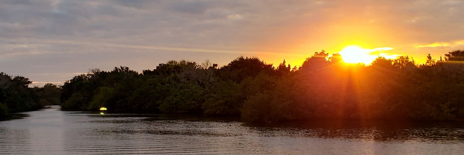 opie29's profile banner image