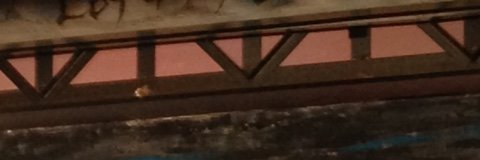 kohe000's profile banner image