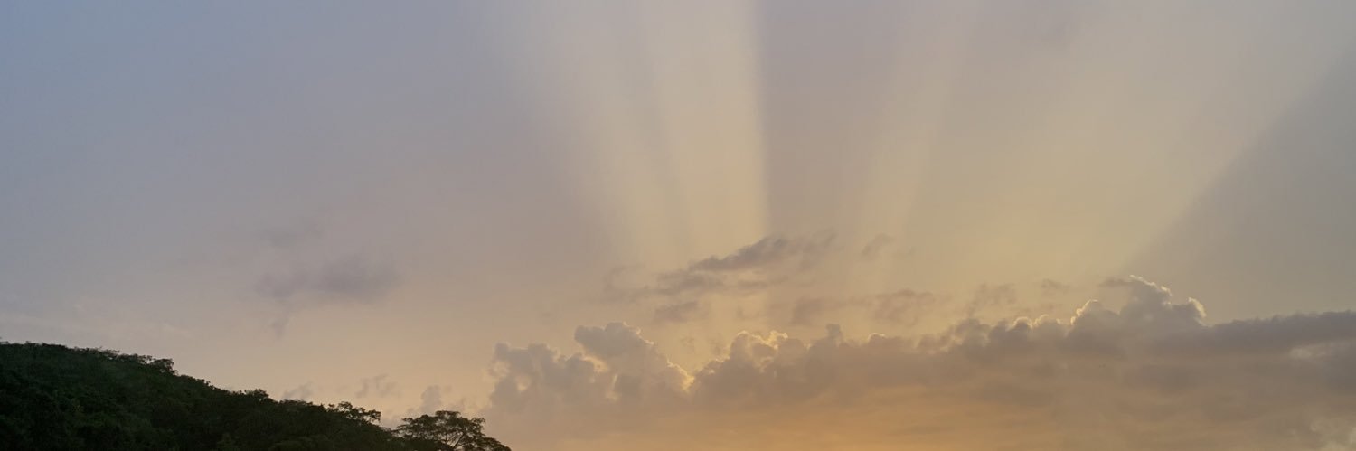 isa_obarbosa's profile banner image