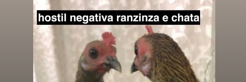 laysepacheco_'s profile banner image