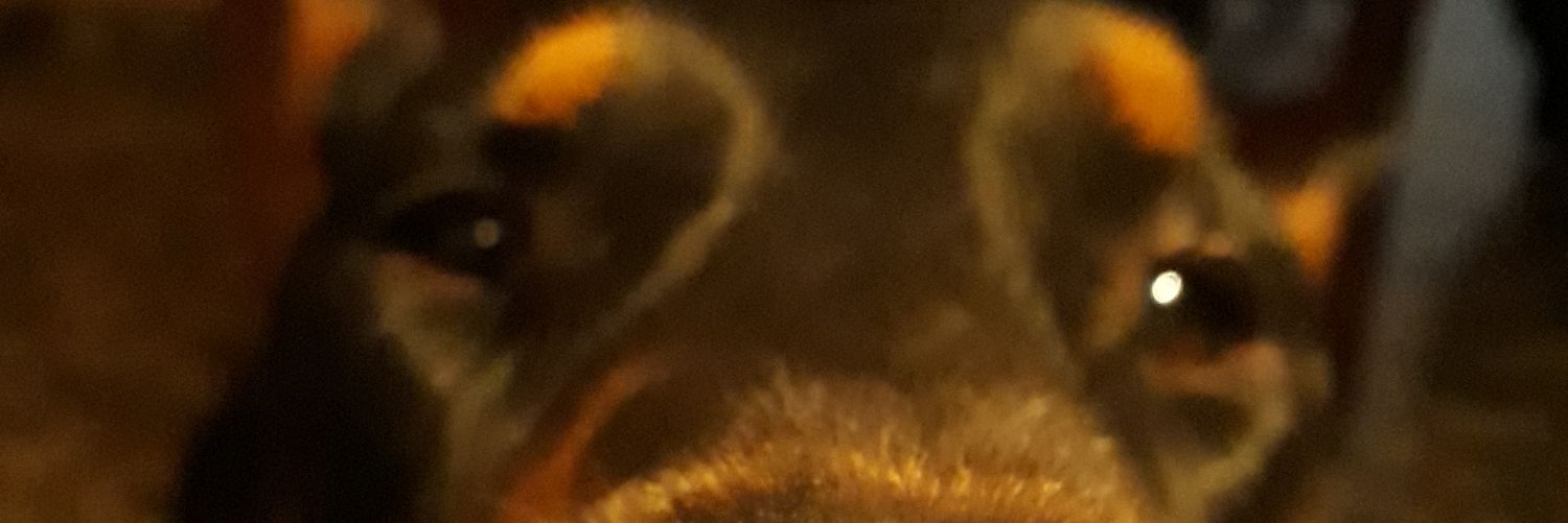 d1a2s3's profile banner image