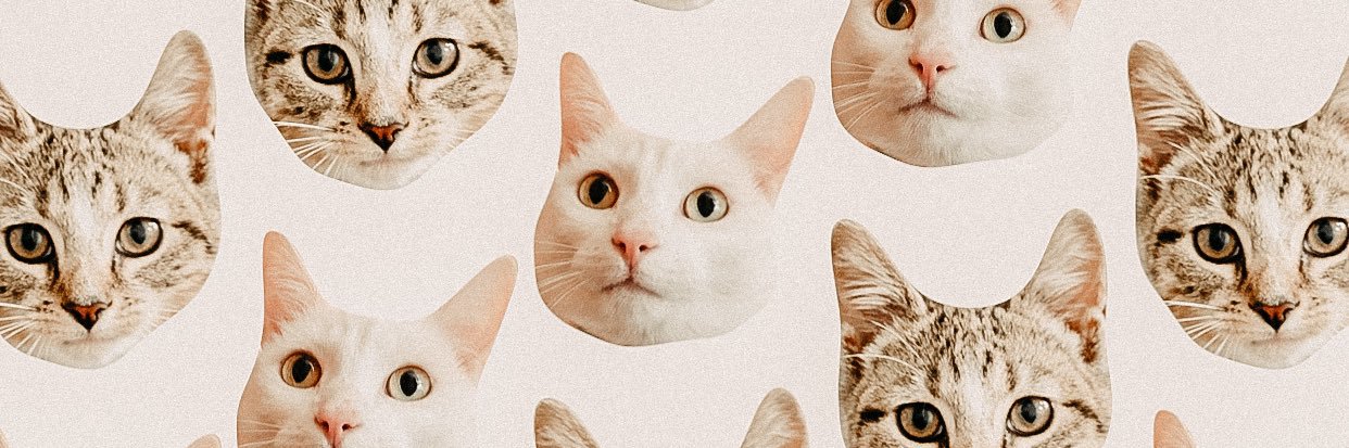 kelcicakes's profile banner image