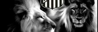 lins_claudio's profile banner image
