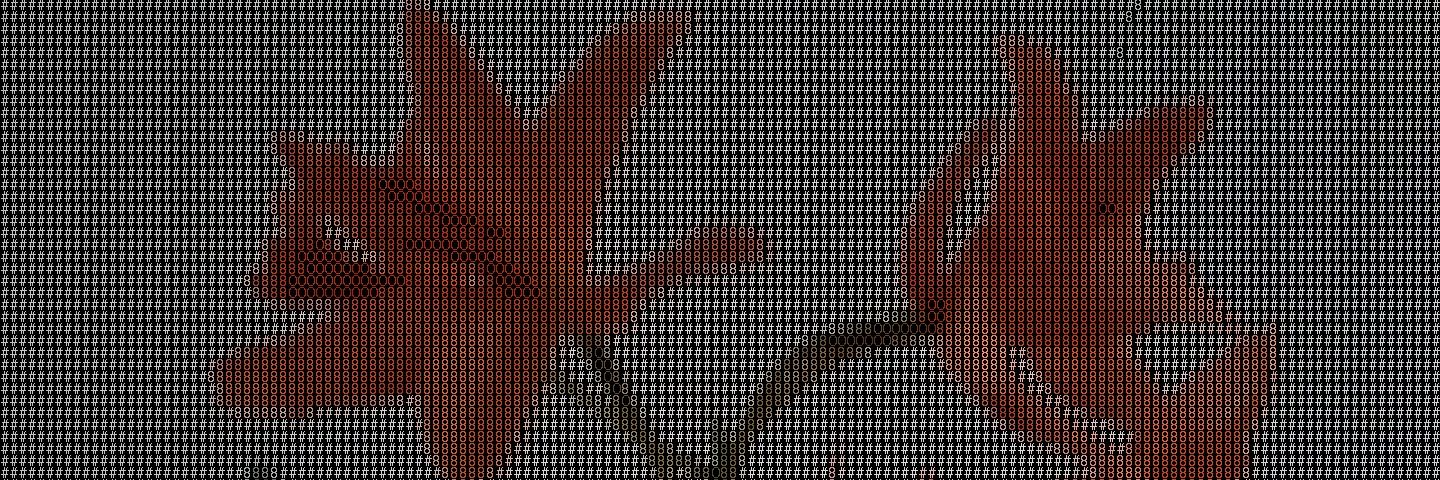 nchlspch's profile banner image