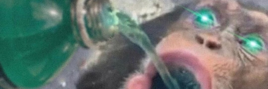basedted's profile banner image