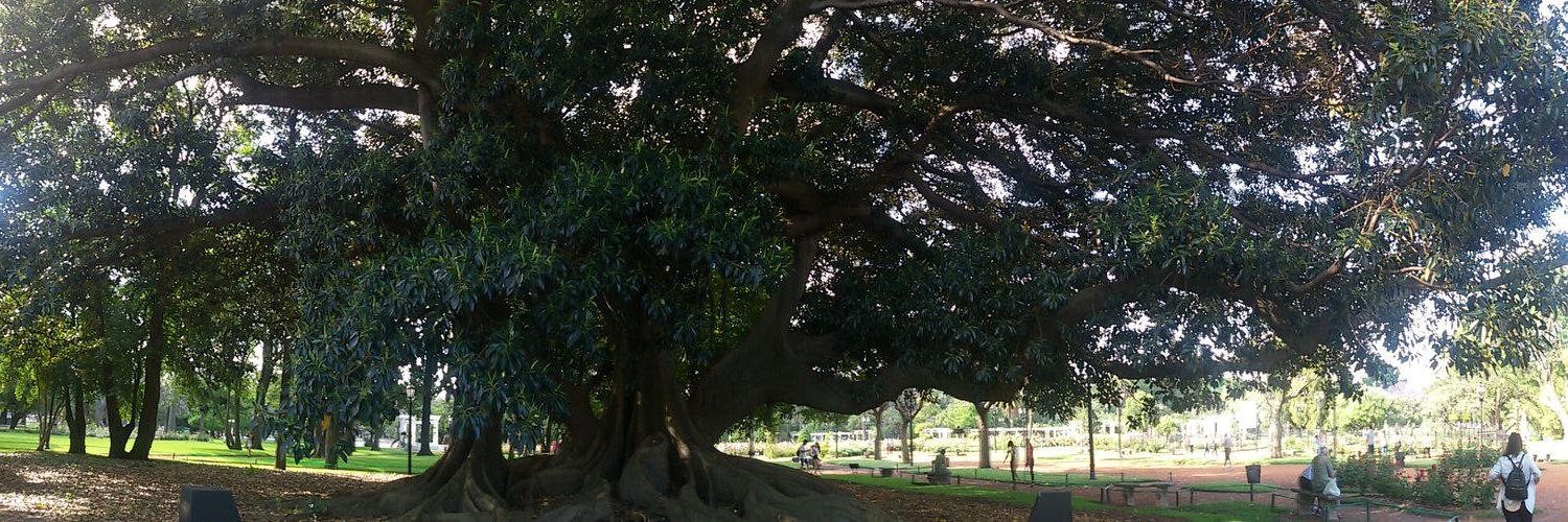 SebaGomezSG's profile banner image