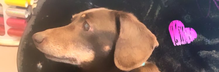 katchy73's profile banner image