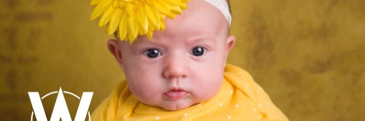 BrittneyPurdue's profile banner image