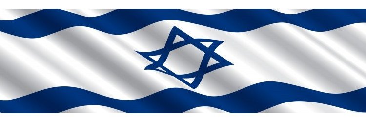 DHZ_democracy's profile banner image
