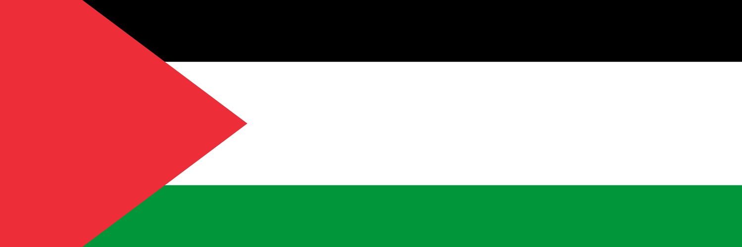 Balbriggan Palestine Solidarity's banner