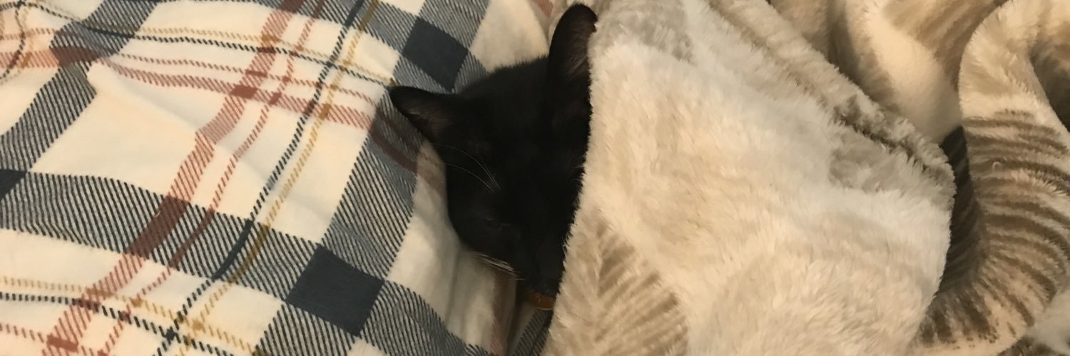 Hannah-bannah banner